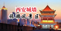 让人日嗷嗷嗷嗷中国陕西-西安城墙旅游风景区