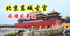 拔丝袜网中国北京-东城古宫旅游风景区